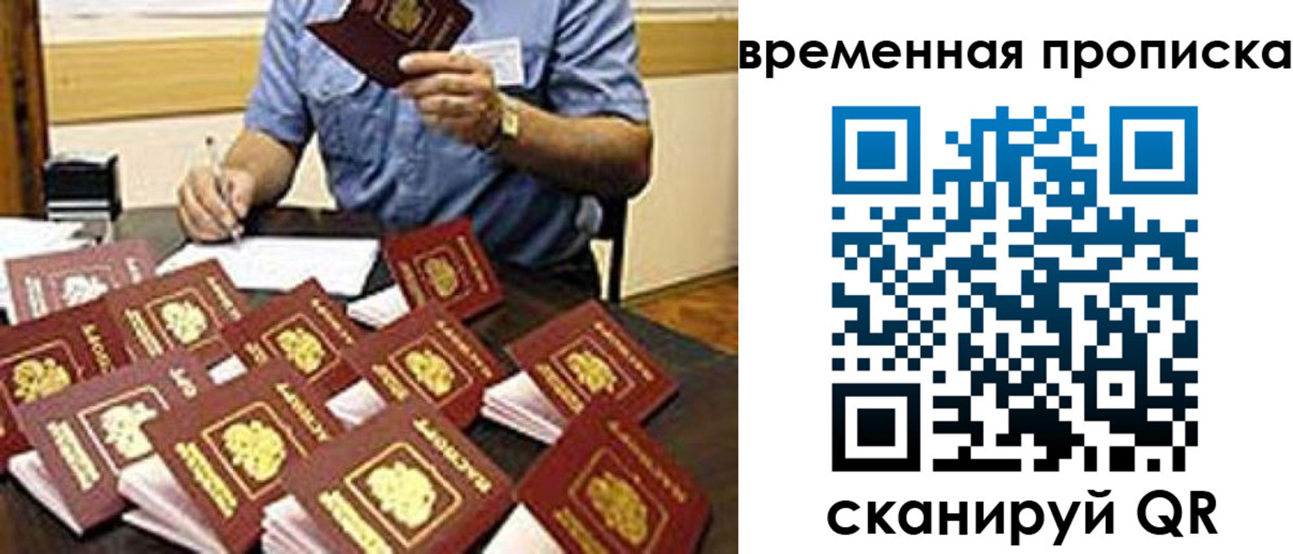 прописка для школы в Заречном